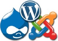 Service 1 - CMS Installation